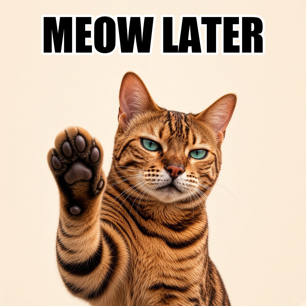 Suki the Cat meme